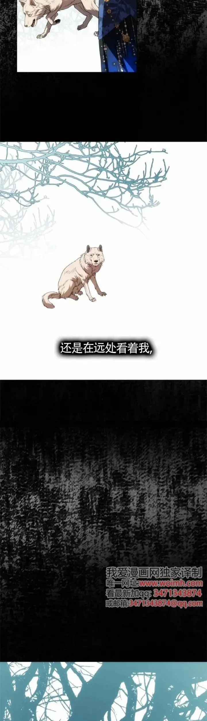 第41话 第16页