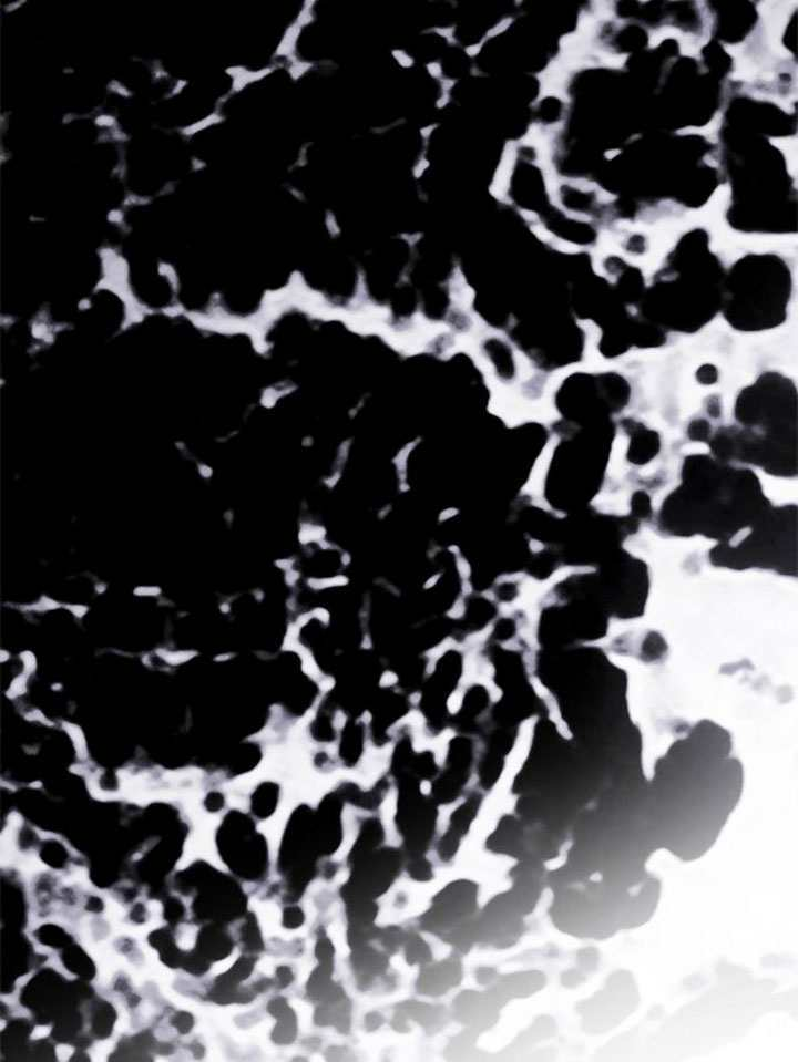 第61话 第194页