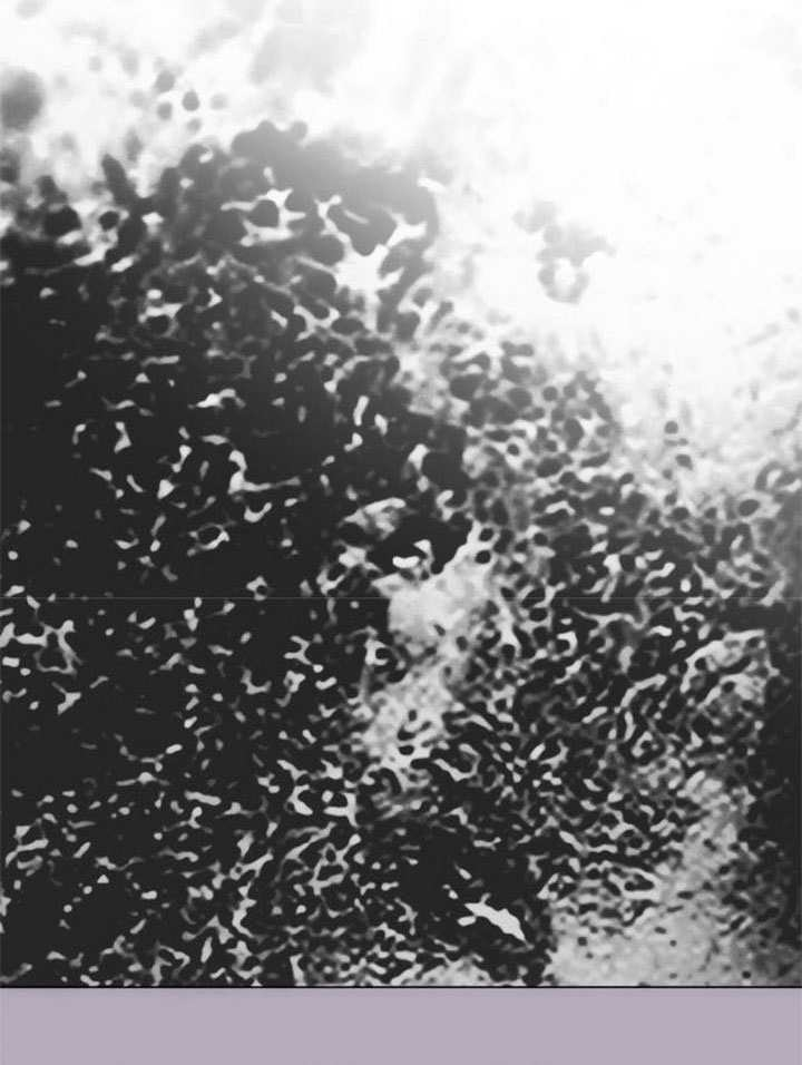 第64话 第114页