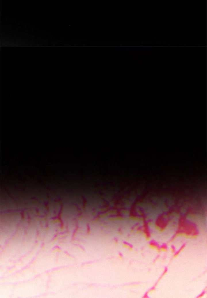 第66话 第135页