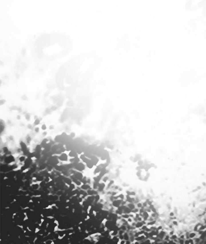 第69话 第104页