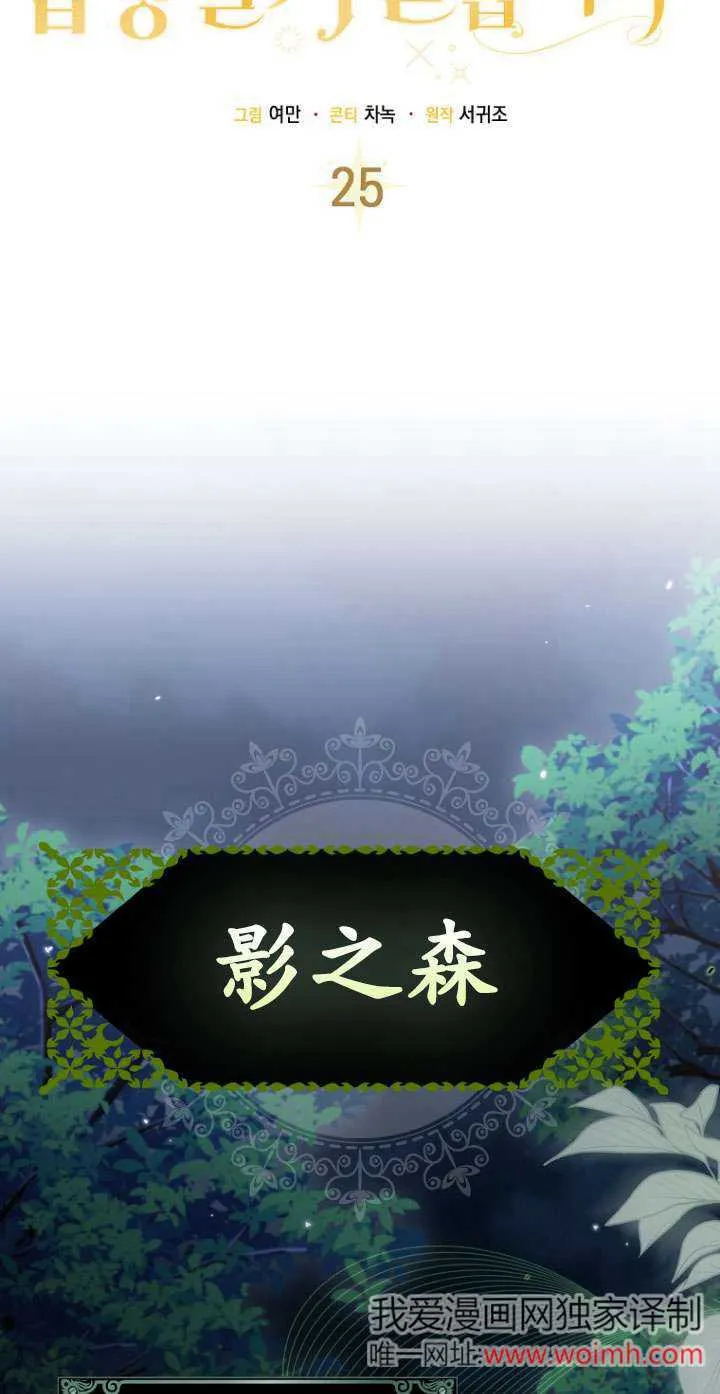 第25话 第28页