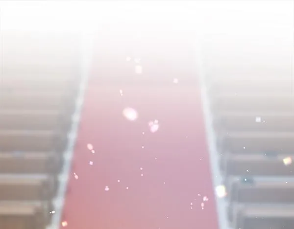 完结篇 婚礼 第145页