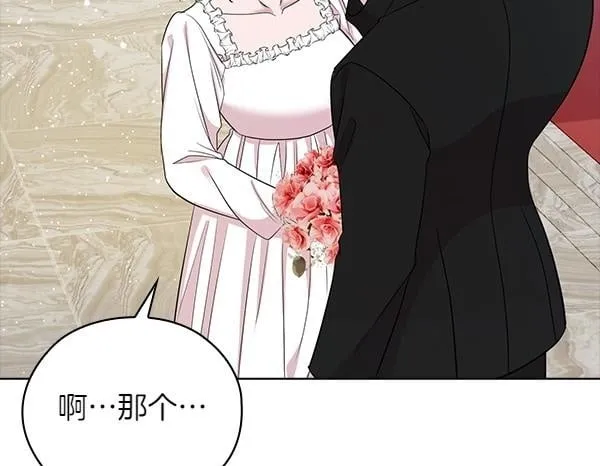 完结篇 婚礼 第157页