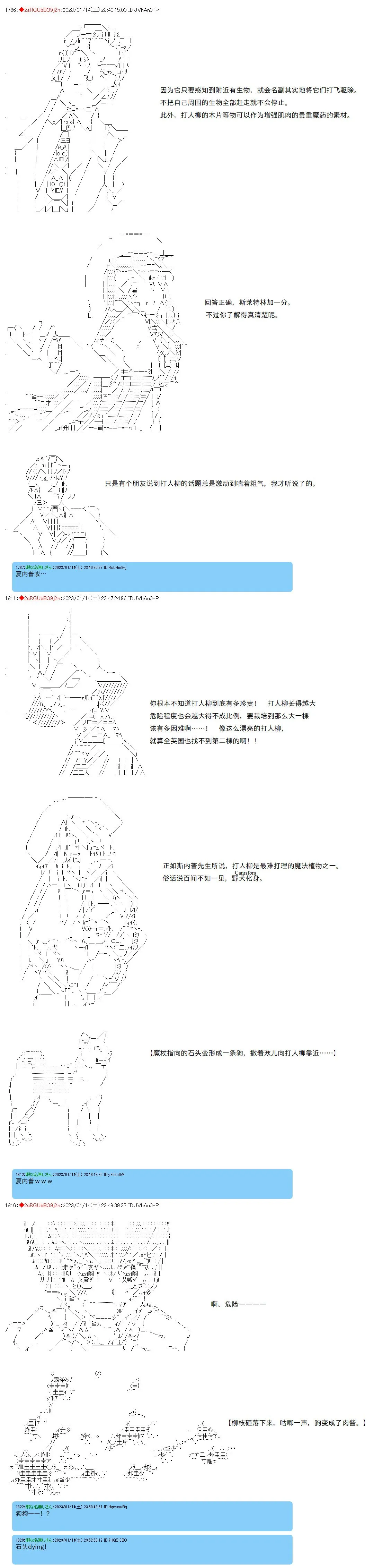13 第3页