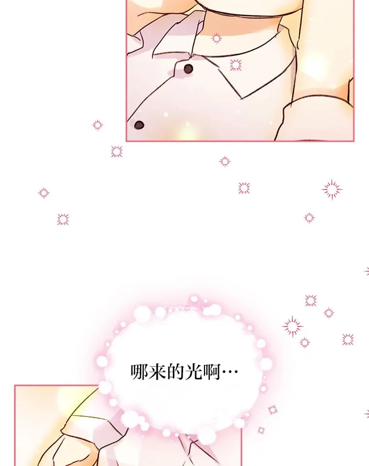 4.适配者 第70页
