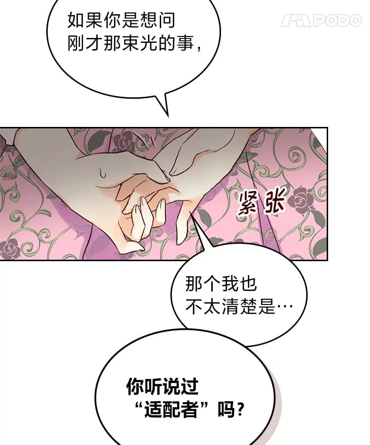 4.适配者 第97页