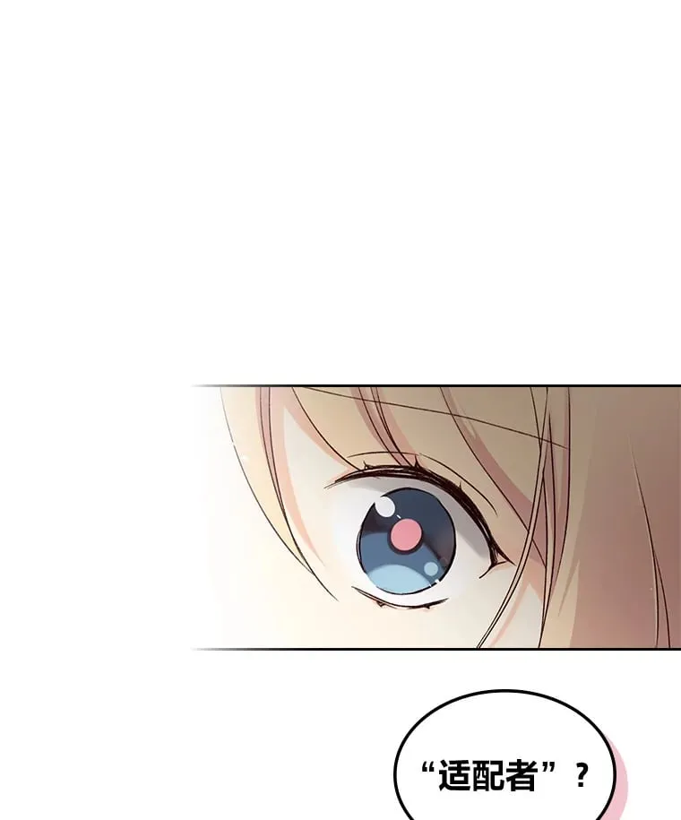 4.适配者 第99页