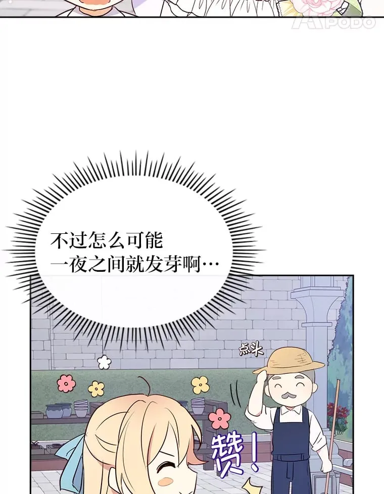 20.欢乐的庭院 第25页