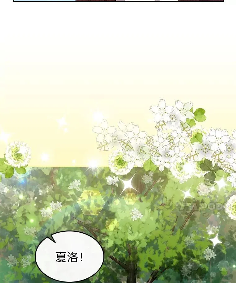 68.搞定岳父母 第12页