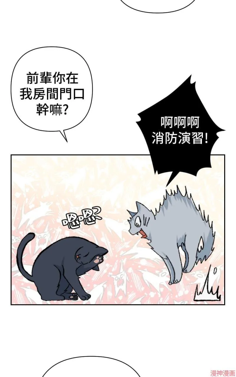 第58话 第42页