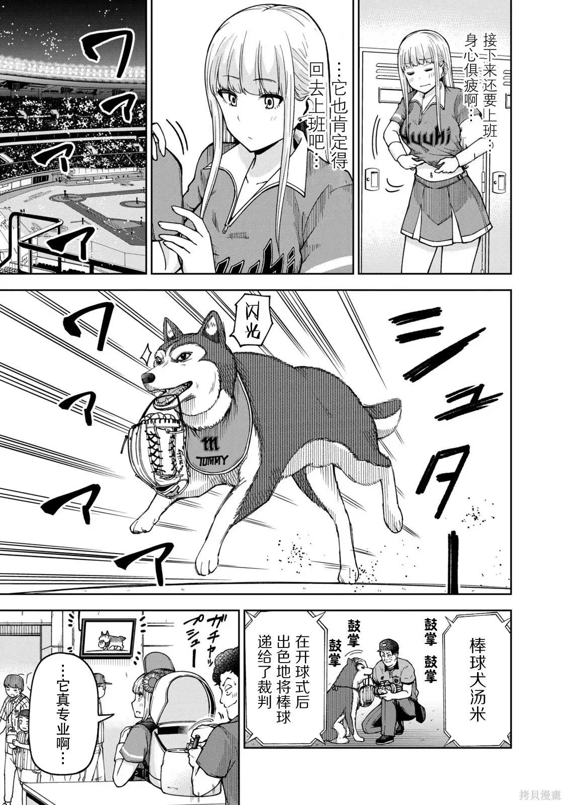 26 第13页