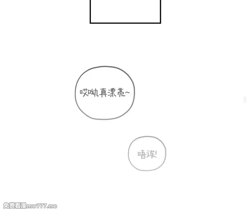 外传2-7 第33页