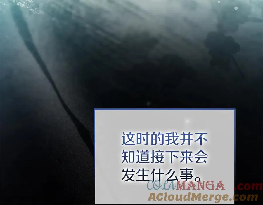 第37话 察觉不对的王子 第29页