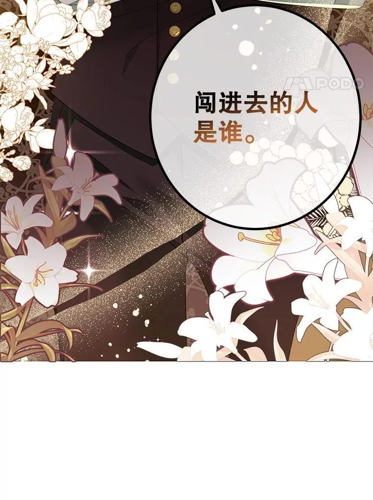 3.投喂 第4页
