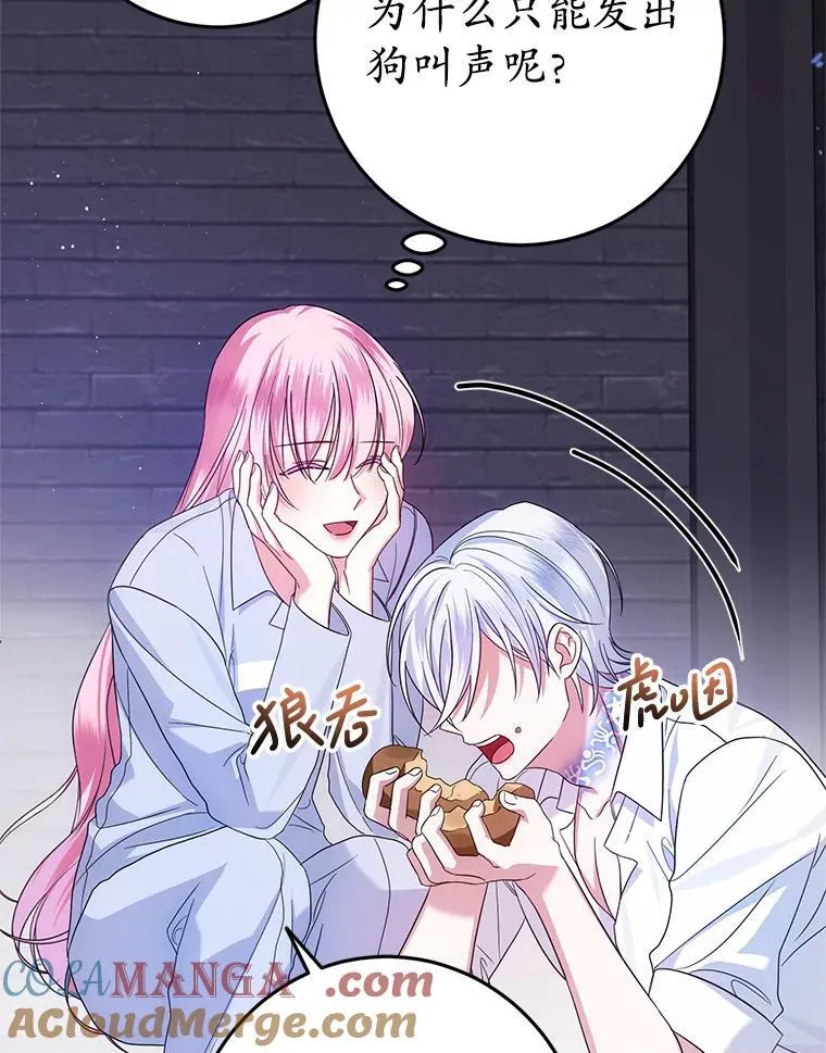3.投喂 第117页