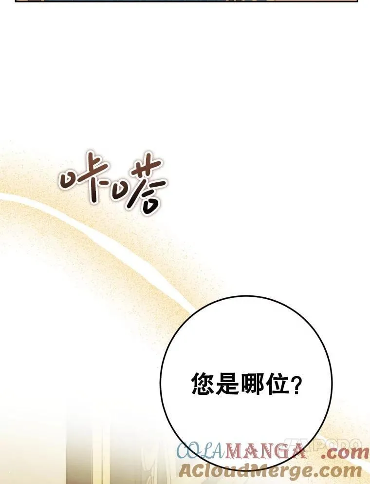 4.总管理人 第25页