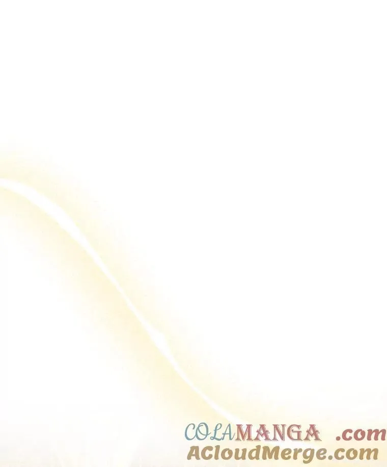 4.总管理人 第37页