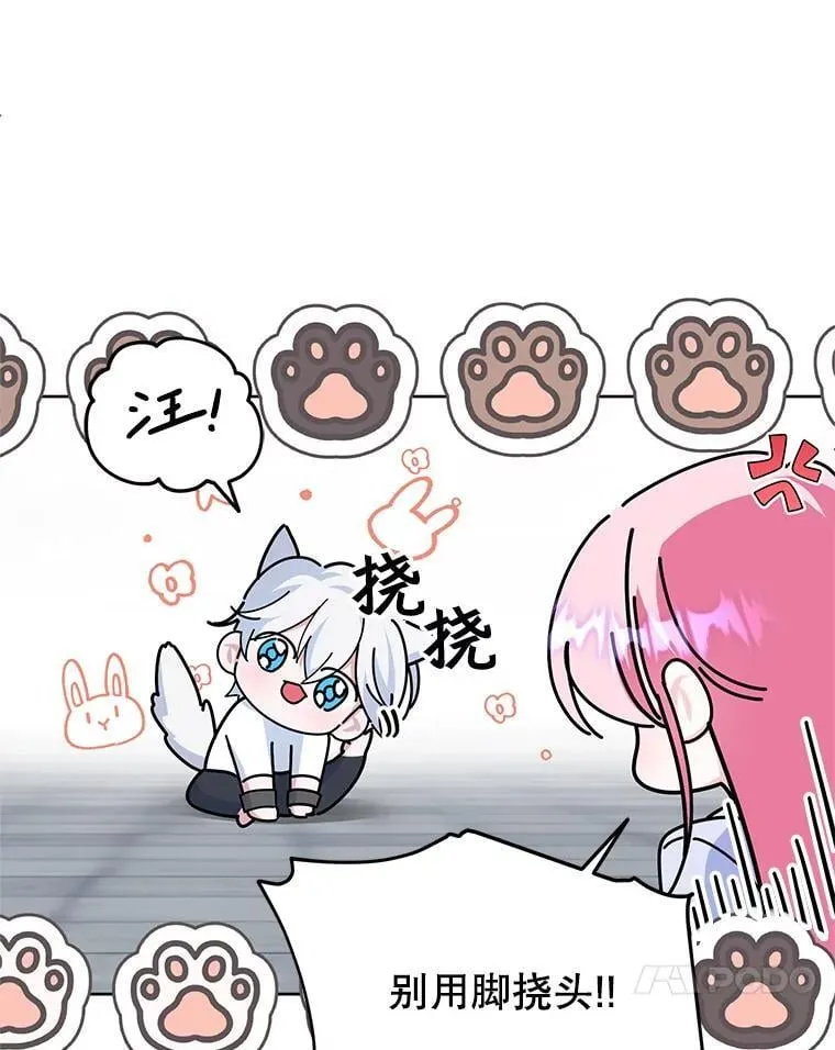 8.驯兽师？ 第20页