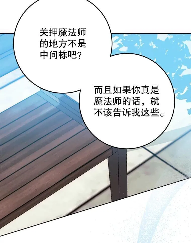 12.魔法师 第96页