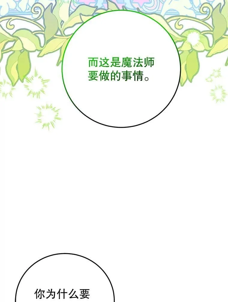 12.魔法师 第114页