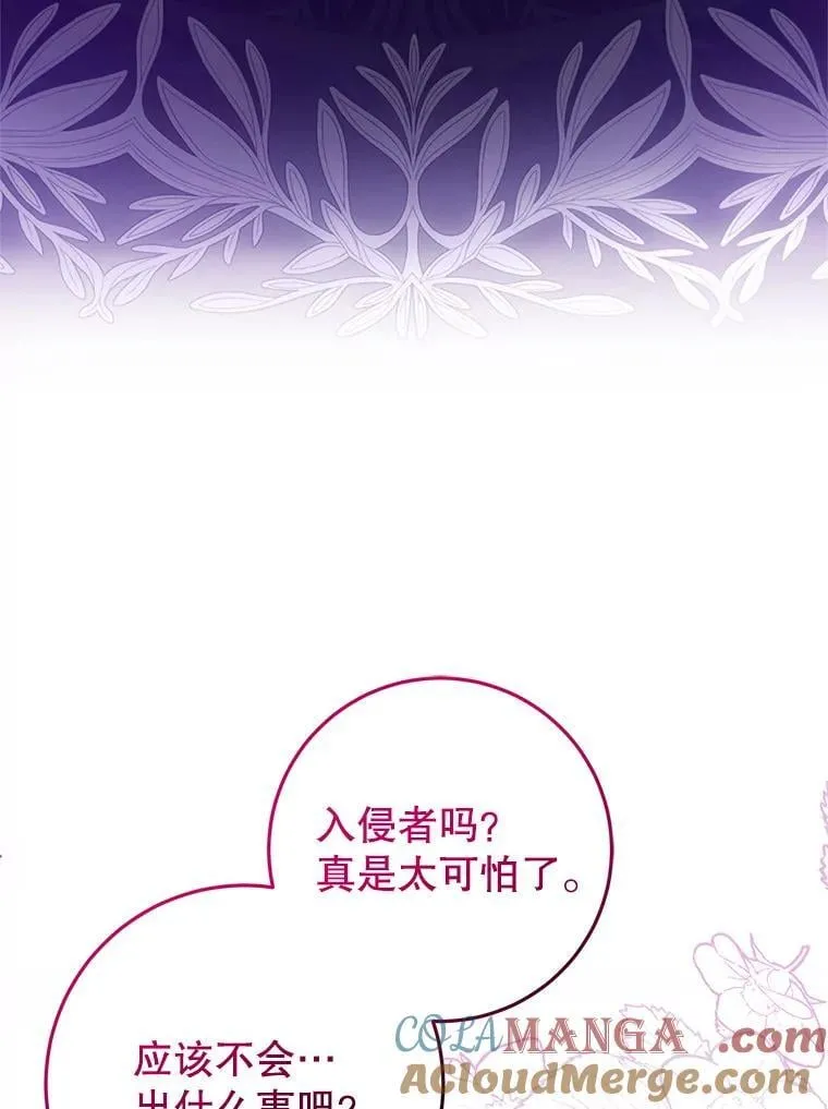 18.入侵者 第29页