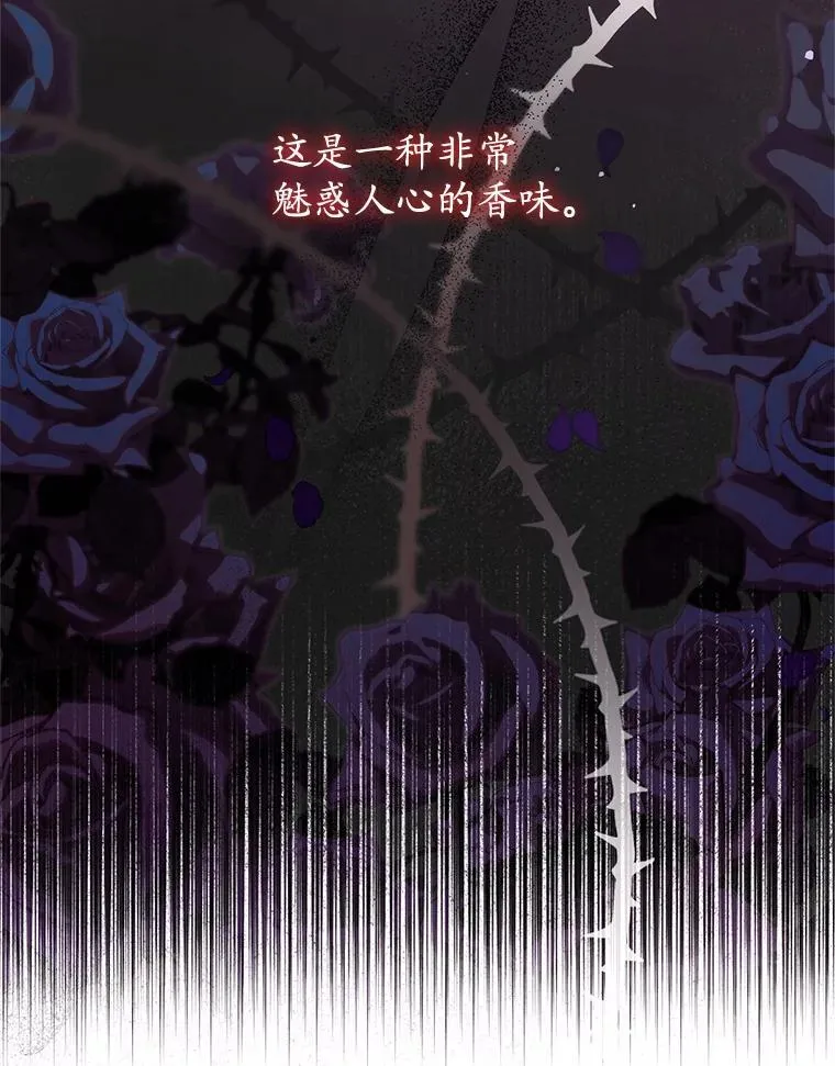 26.五大玫瑰 第7页