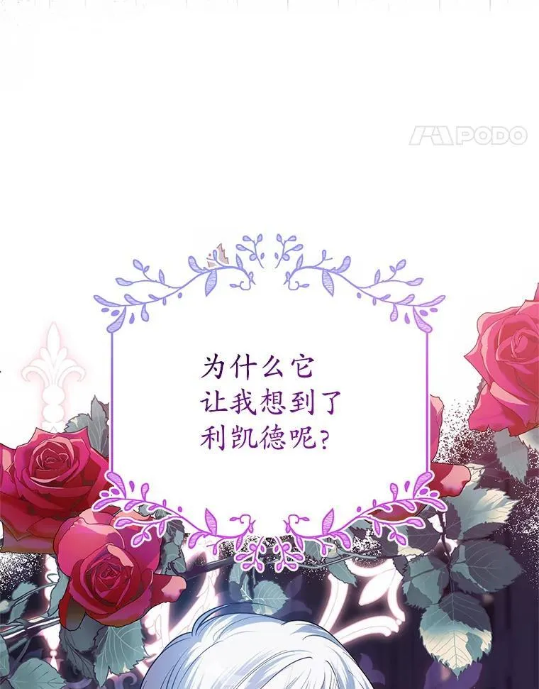 26.五大玫瑰 第8页