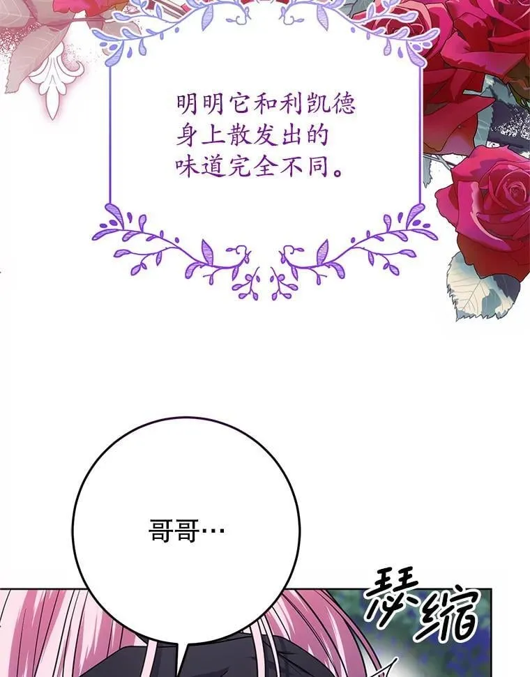 26.五大玫瑰 第10页