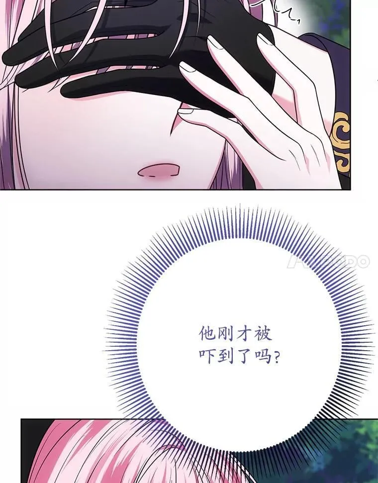 26.五大玫瑰 第11页