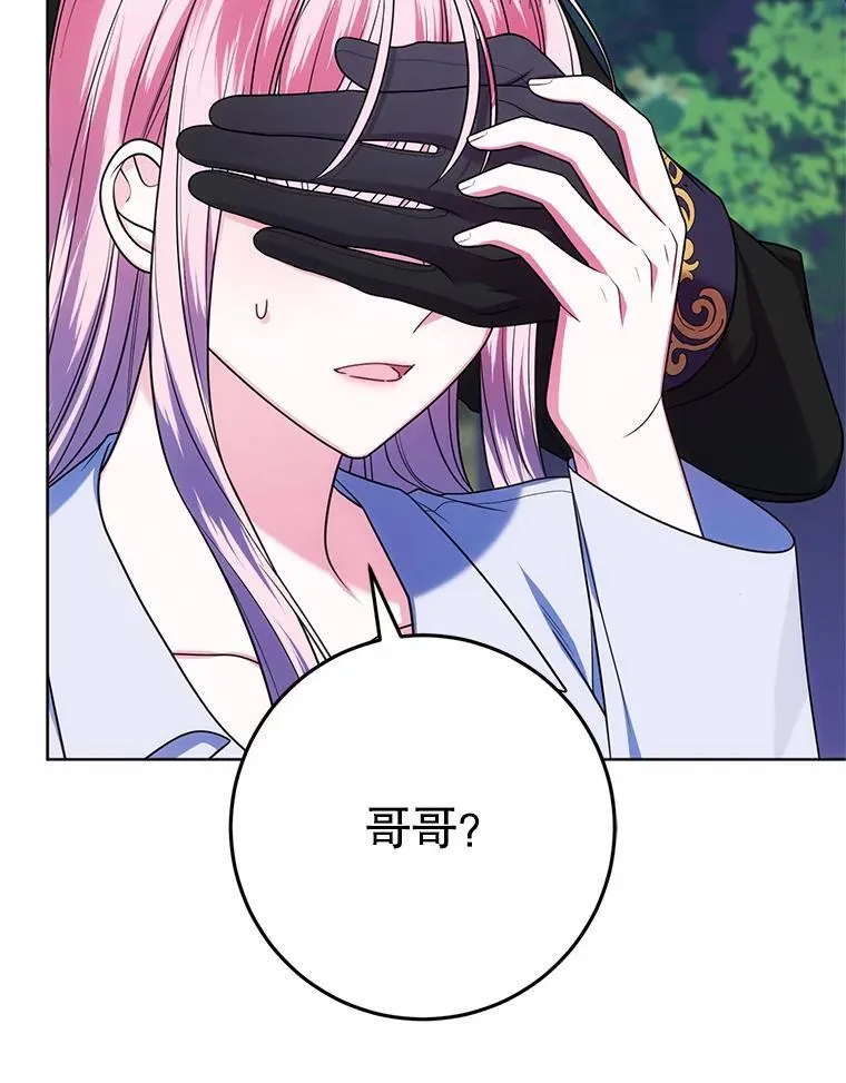 26.五大玫瑰 第12页