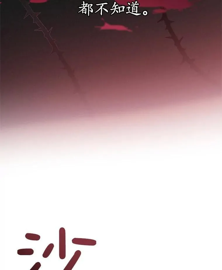 26.五大玫瑰 第19页