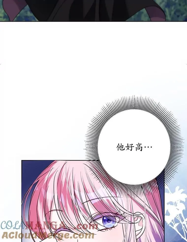 26.五大玫瑰 第45页