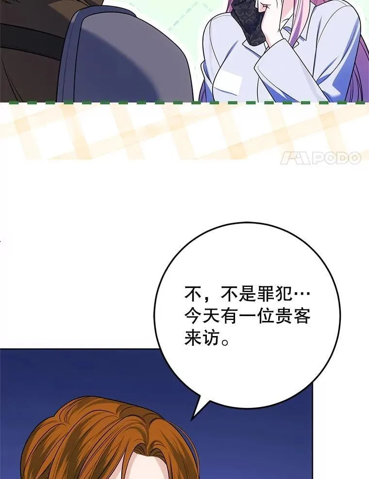 26.五大玫瑰 第51页