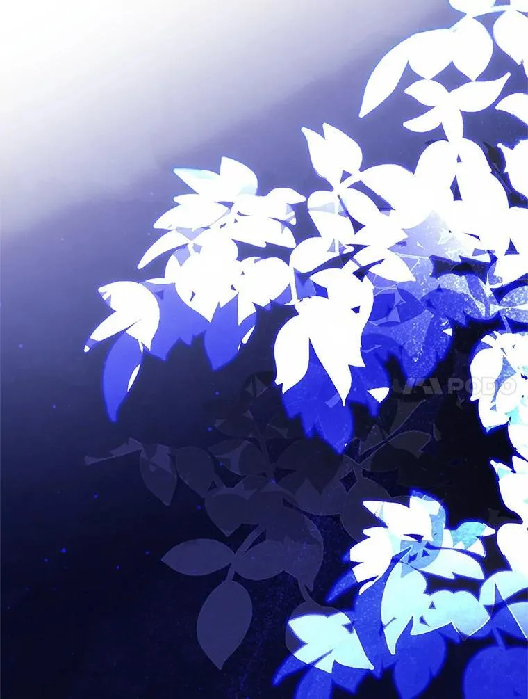 26.五大玫瑰 第67页