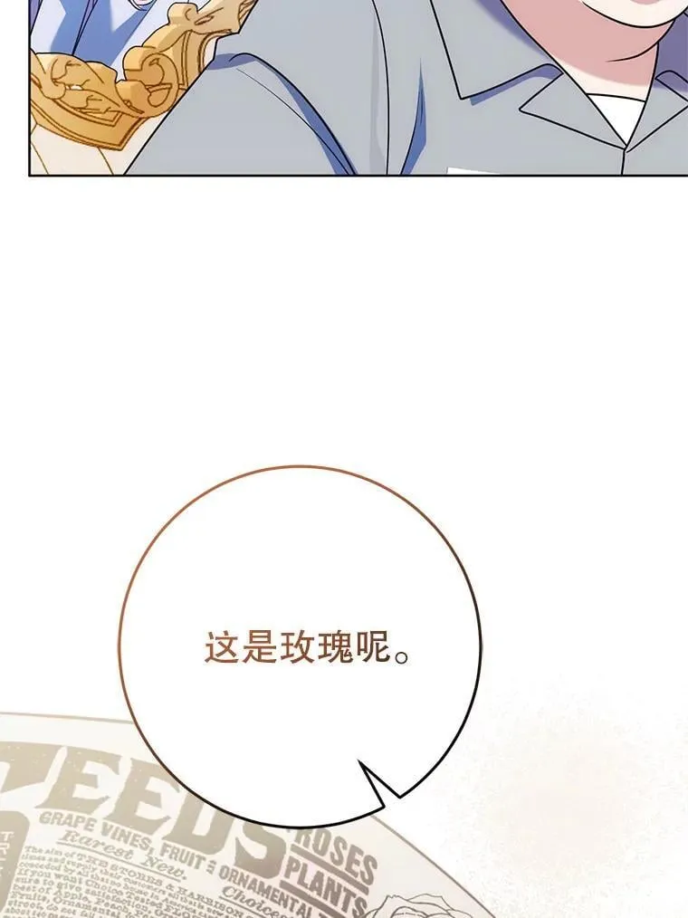 26.五大玫瑰 第79页