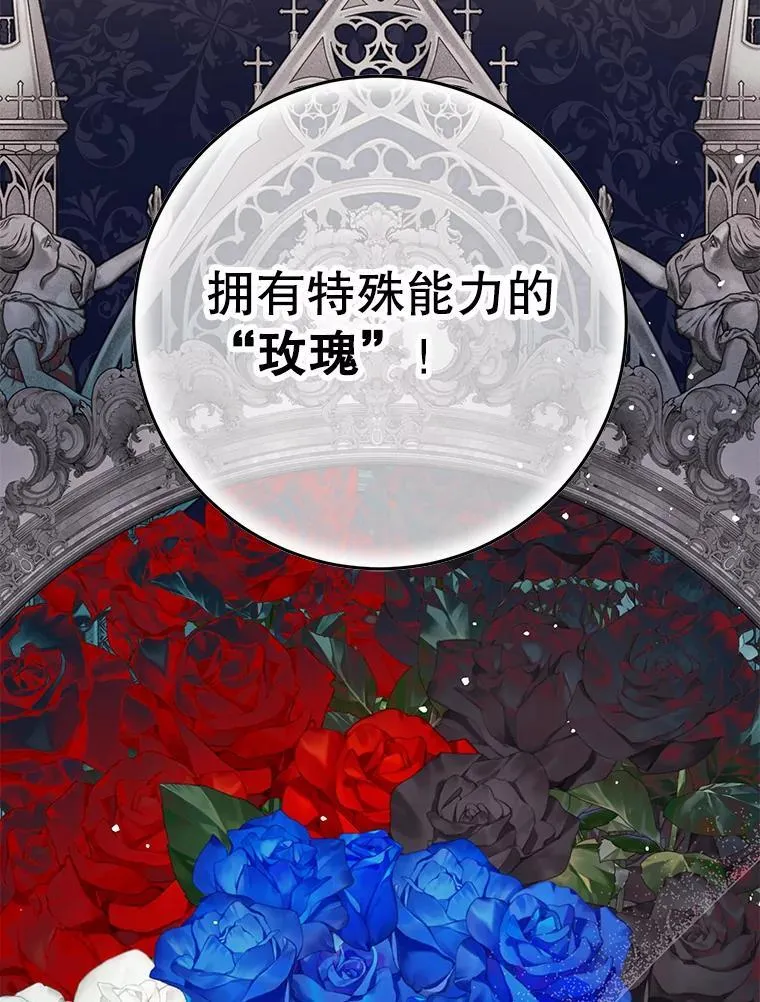 26.五大玫瑰 第92页