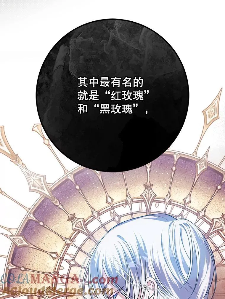 26.五大玫瑰 第105页