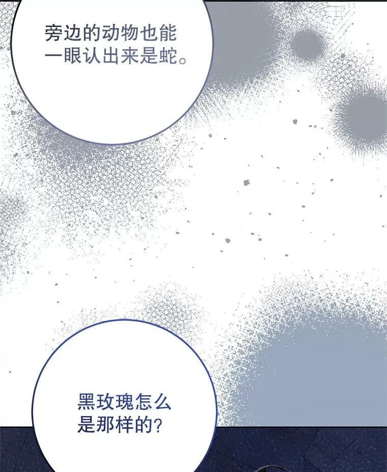 31.奇怪的壁画 第14页