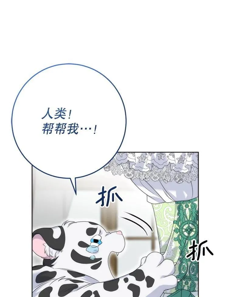 41.不是兄妹 第8页