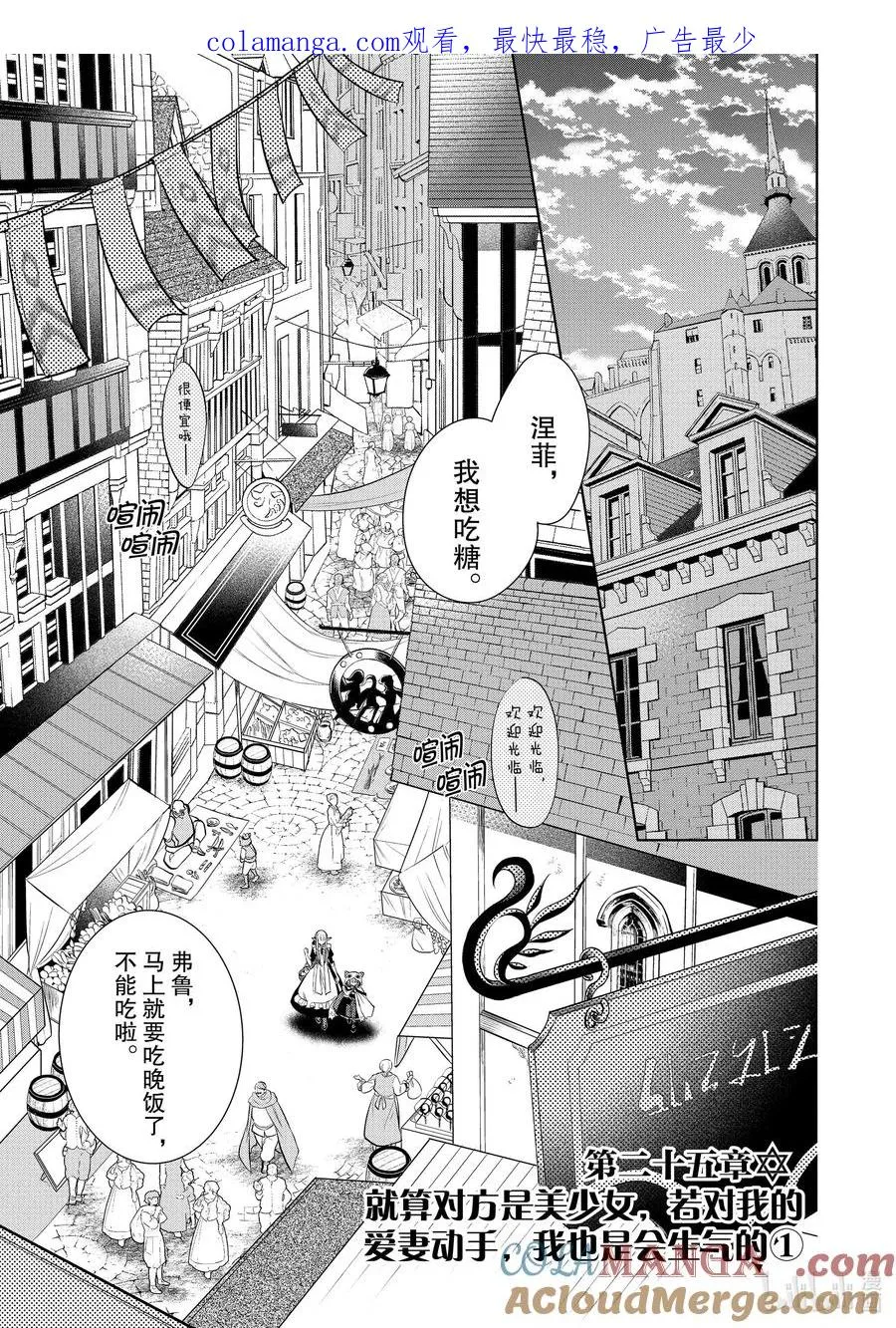 第25章 就算对方是美少女，若对我的爱妻动手，我也是会生气的① 第1页