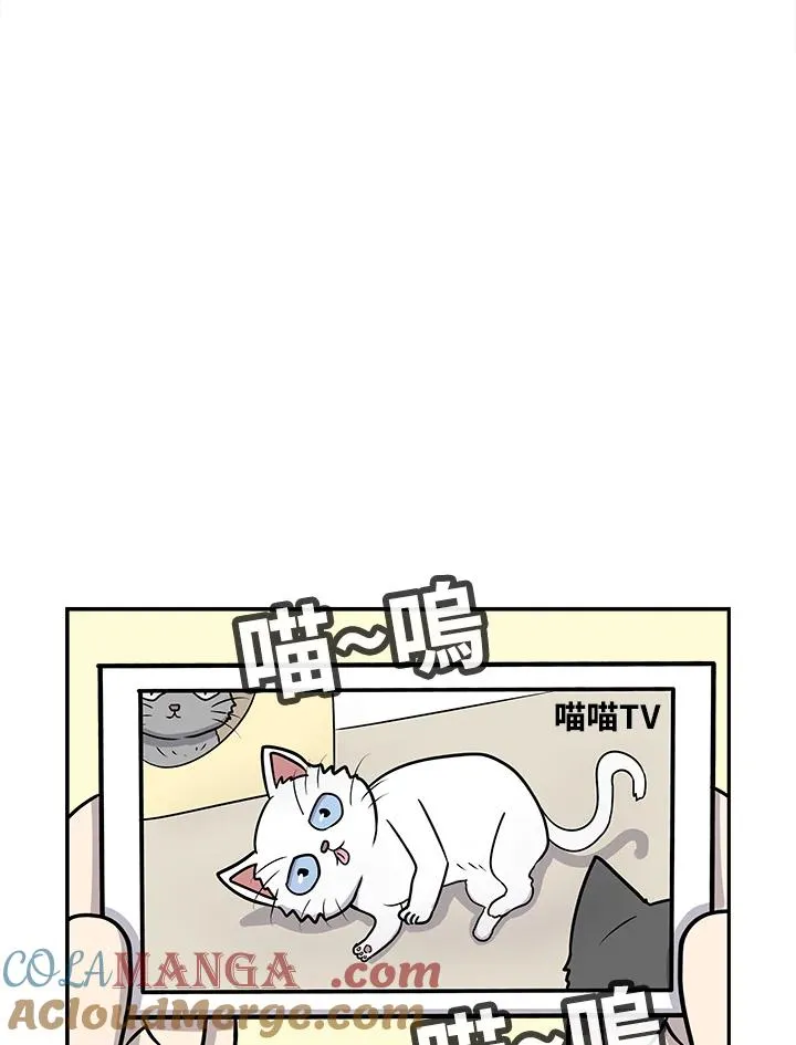 第54话 猫TUBE(1) 第4页
