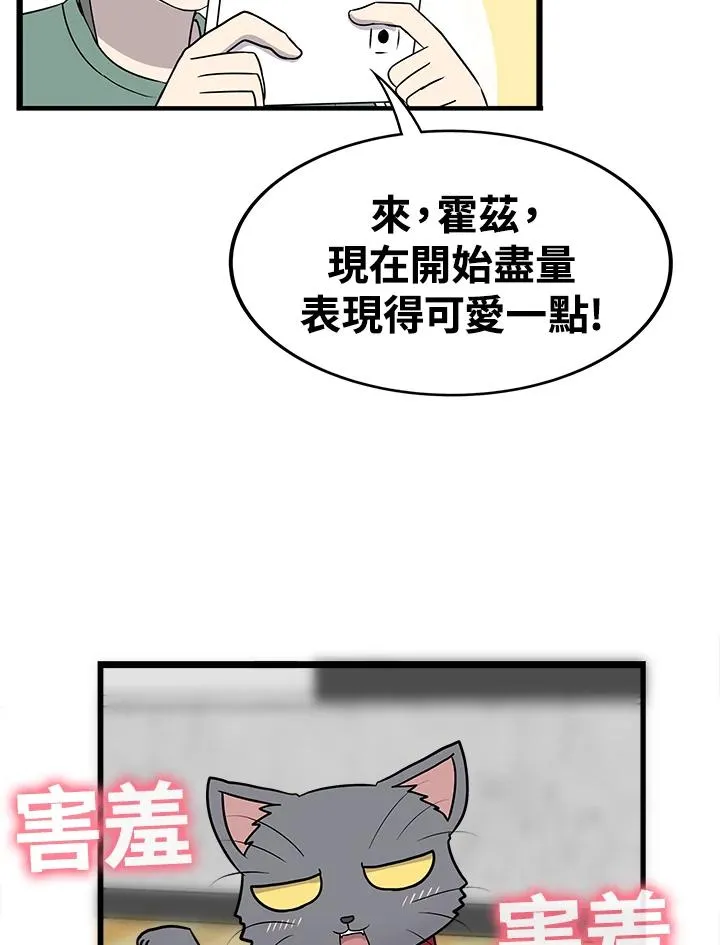第55话 猫TUBE(2) 第32页