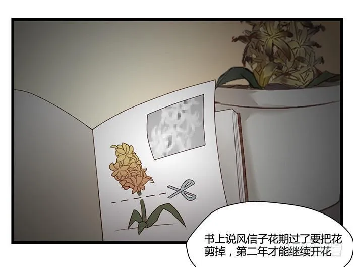 走马灯 第21页