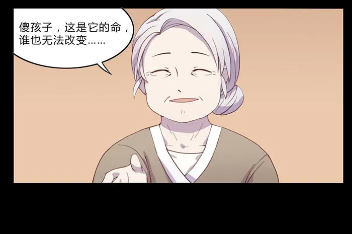 生死有命 第13页