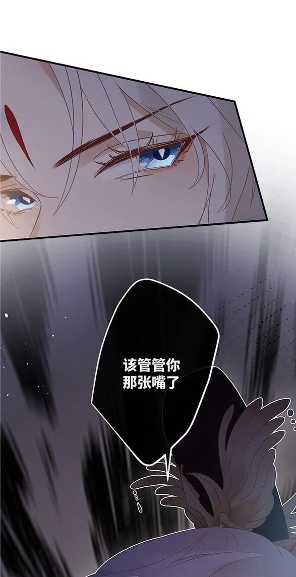 0 预告 第11页