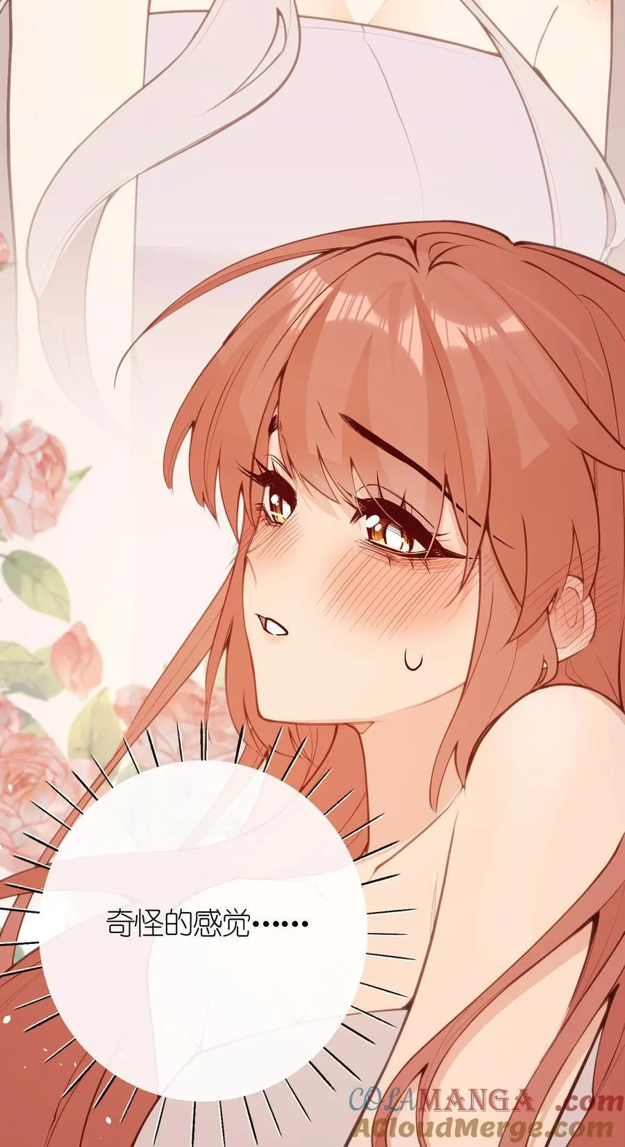 039 盛开的百合花（上） 第13页
