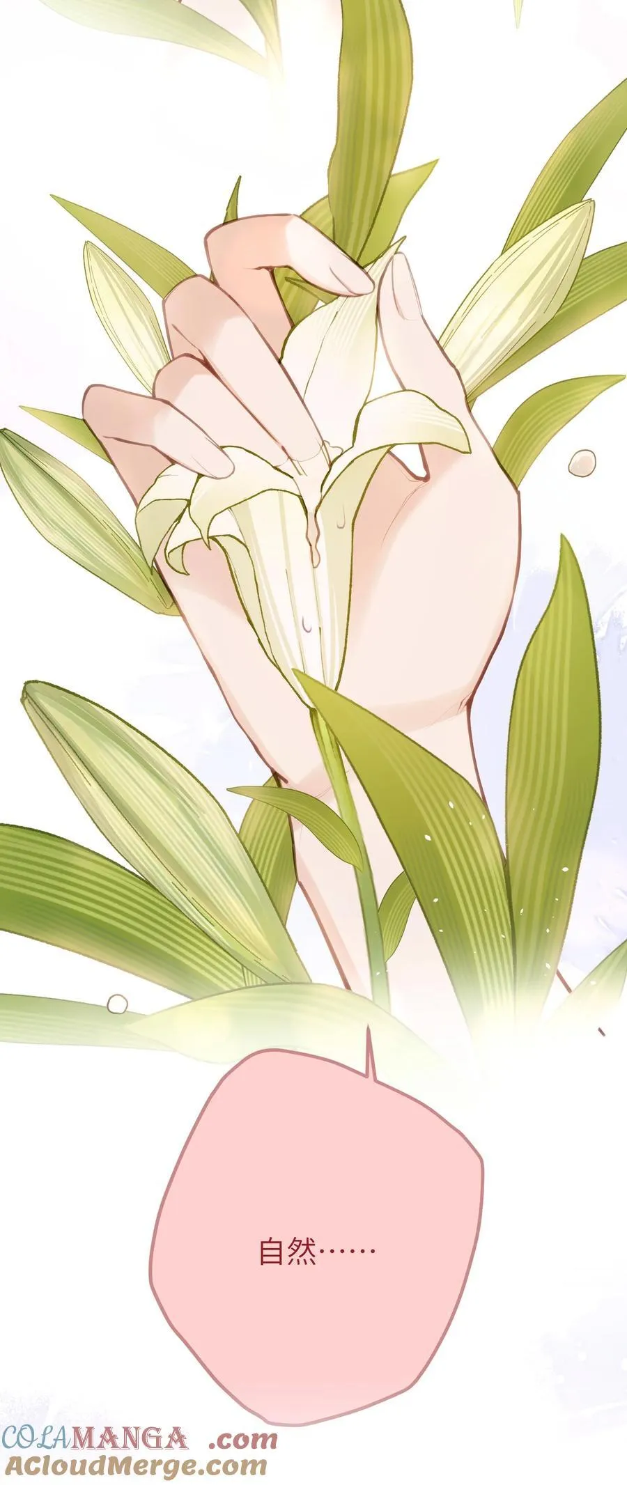 039 盛开的百合花（上） 第33页