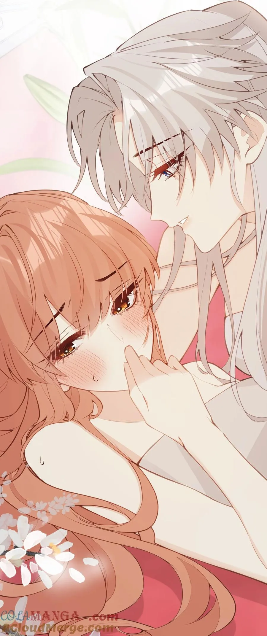 040 盛开的百合花（下） 第3页