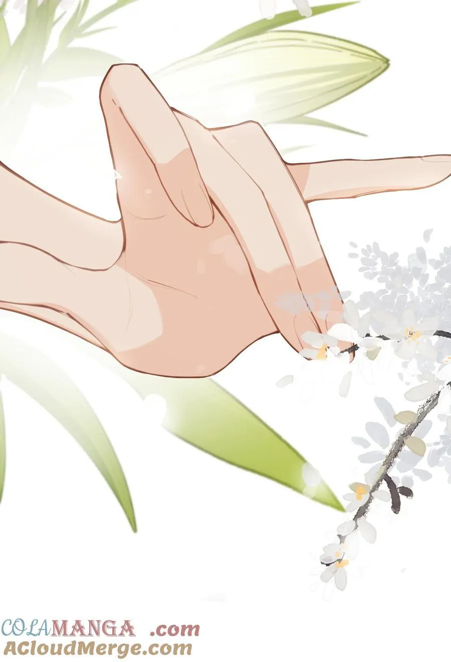 040 盛开的百合花（下） 第11页